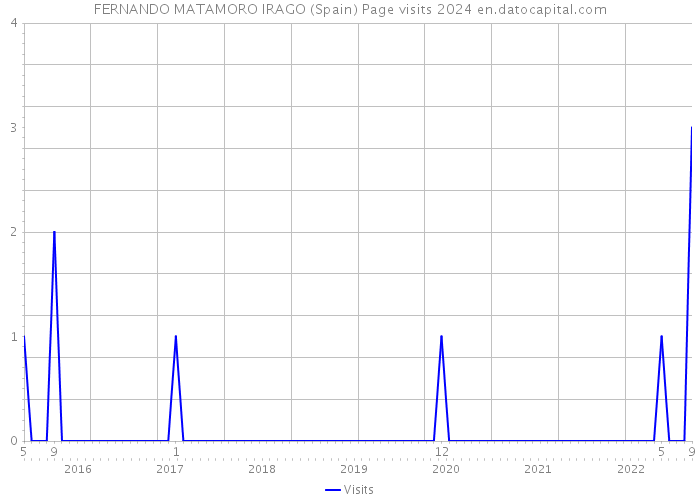 FERNANDO MATAMORO IRAGO (Spain) Page visits 2024 
