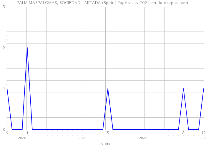 PALM MASPALOMAS, SOCIEDAD LIMITADA (Spain) Page visits 2024 