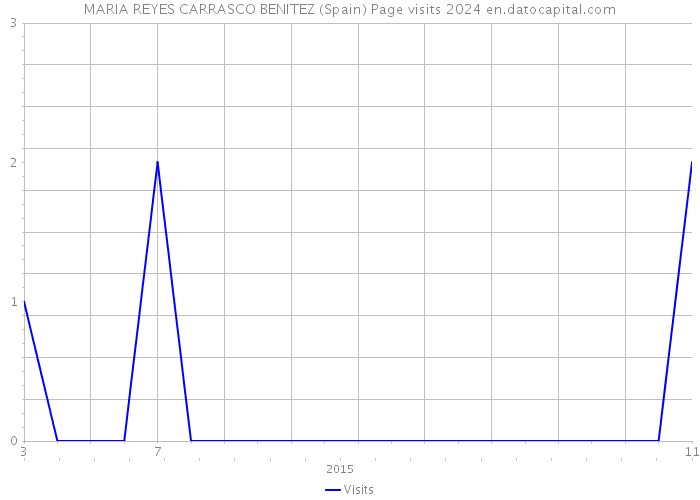 MARIA REYES CARRASCO BENITEZ (Spain) Page visits 2024 