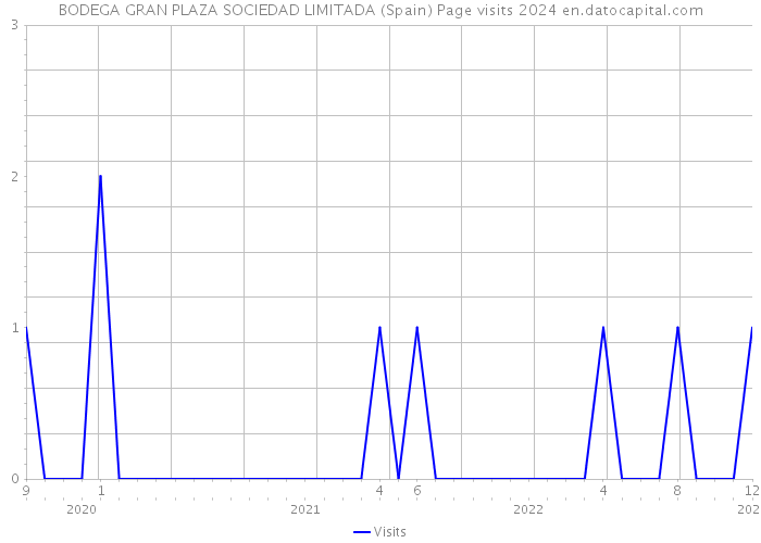 BODEGA GRAN PLAZA SOCIEDAD LIMITADA (Spain) Page visits 2024 