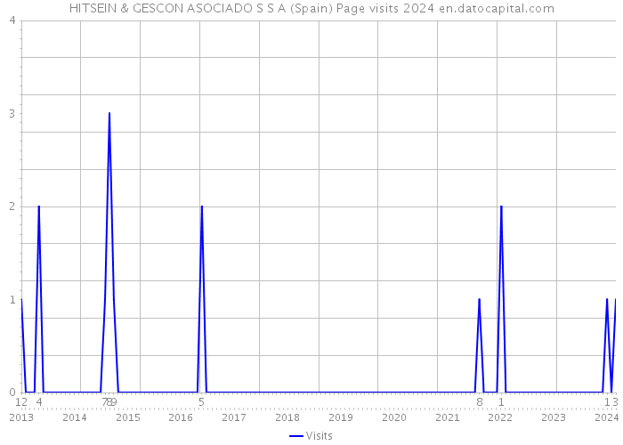 HITSEIN & GESCON ASOCIADO S S A (Spain) Page visits 2024 