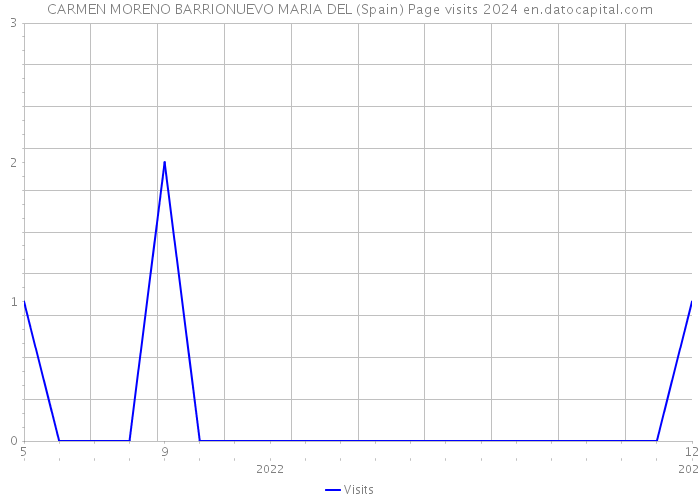 CARMEN MORENO BARRIONUEVO MARIA DEL (Spain) Page visits 2024 