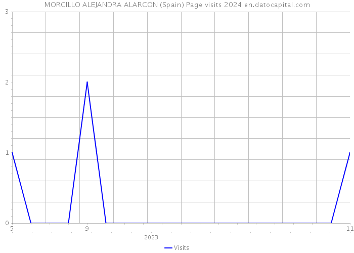 MORCILLO ALEJANDRA ALARCON (Spain) Page visits 2024 