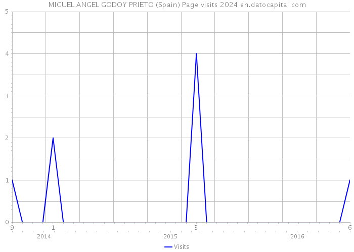 MIGUEL ANGEL GODOY PRIETO (Spain) Page visits 2024 