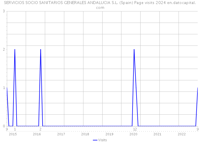 SERVICIOS SOCIO SANITARIOS GENERALES ANDALUCIA S.L. (Spain) Page visits 2024 