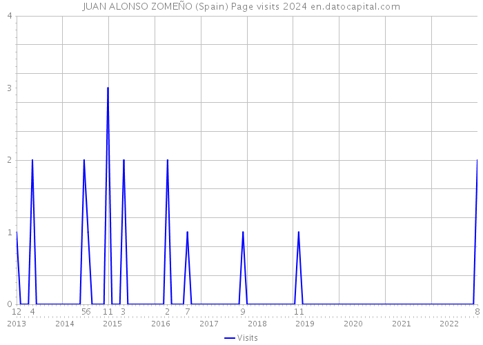 JUAN ALONSO ZOMEÑO (Spain) Page visits 2024 