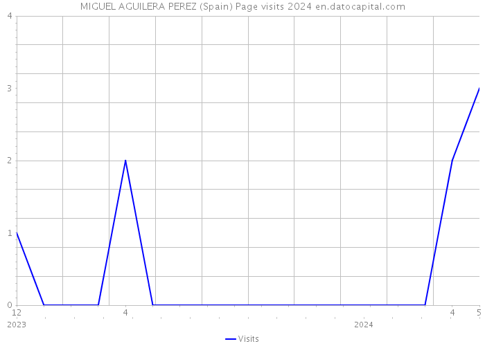 MIGUEL AGUILERA PEREZ (Spain) Page visits 2024 