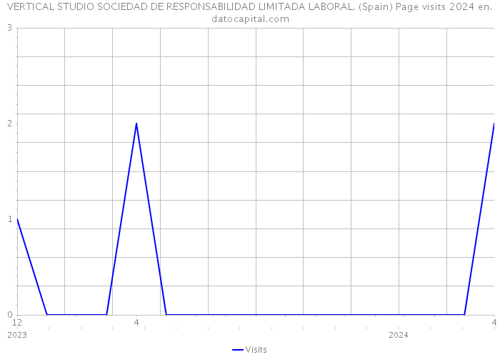 VERTICAL STUDIO SOCIEDAD DE RESPONSABILIDAD LIMITADA LABORAL. (Spain) Page visits 2024 