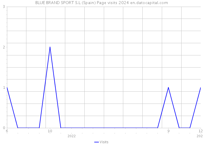 BLUE BRAND SPORT S.L (Spain) Page visits 2024 