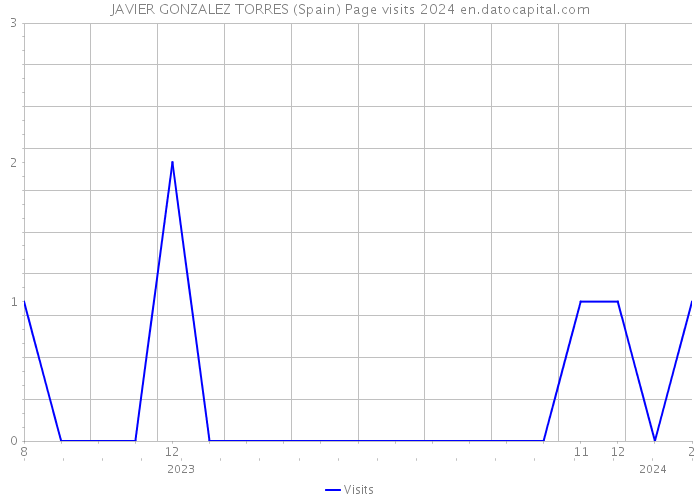 JAVIER GONZALEZ TORRES (Spain) Page visits 2024 