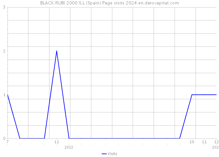 BLACK RUBI 2000 S.L (Spain) Page visits 2024 