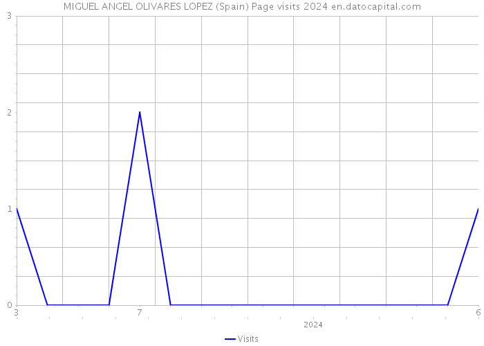 MIGUEL ANGEL OLIVARES LOPEZ (Spain) Page visits 2024 