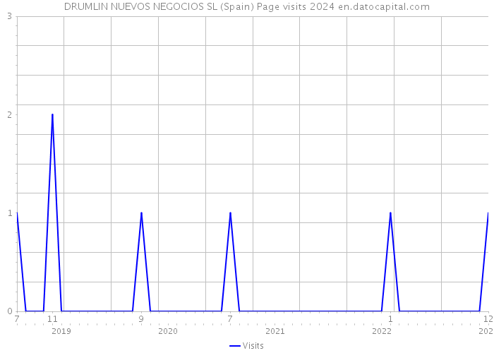DRUMLIN NUEVOS NEGOCIOS SL (Spain) Page visits 2024 