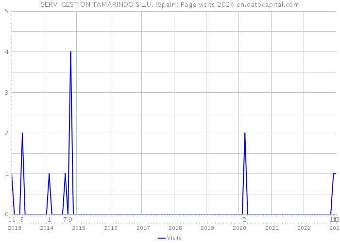 SERVI GESTION TAMARINDO S.L.U. (Spain) Page visits 2024 