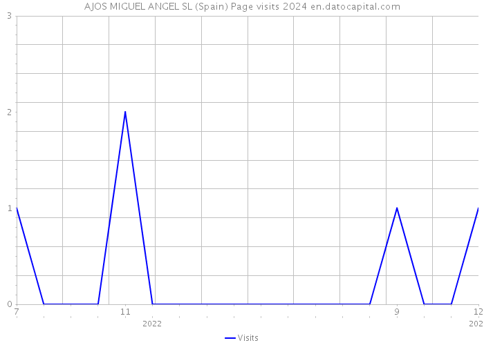 AJOS MIGUEL ANGEL SL (Spain) Page visits 2024 
