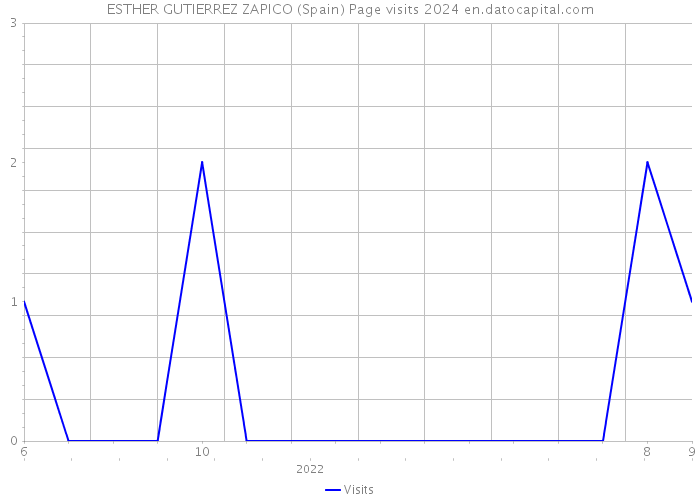 ESTHER GUTIERREZ ZAPICO (Spain) Page visits 2024 