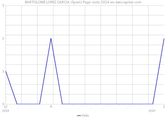BARTOLOME LOPEZ GARCIA (Spain) Page visits 2024 
