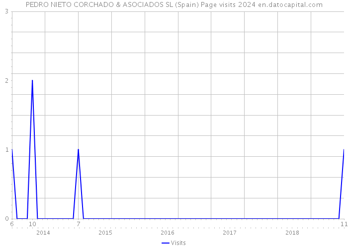PEDRO NIETO CORCHADO & ASOCIADOS SL (Spain) Page visits 2024 