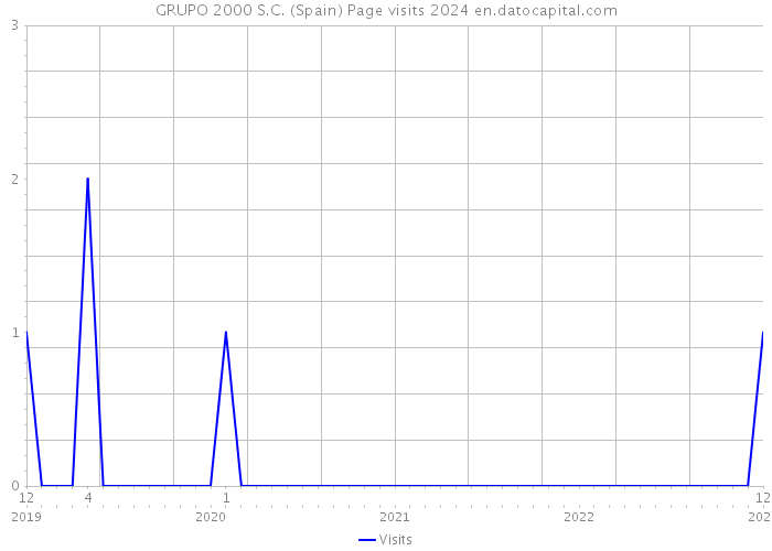 GRUPO 2000 S.C. (Spain) Page visits 2024 