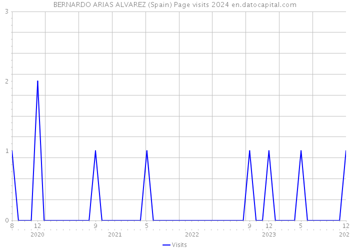 BERNARDO ARIAS ALVAREZ (Spain) Page visits 2024 