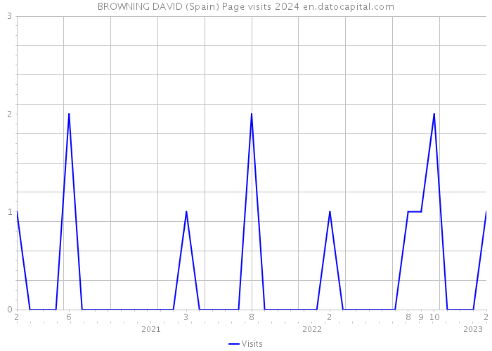 BROWNING DAVID (Spain) Page visits 2024 