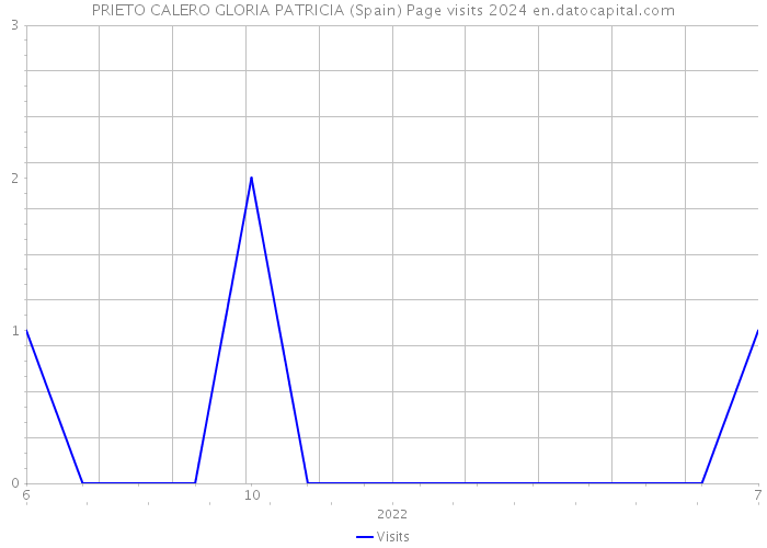 PRIETO CALERO GLORIA PATRICIA (Spain) Page visits 2024 