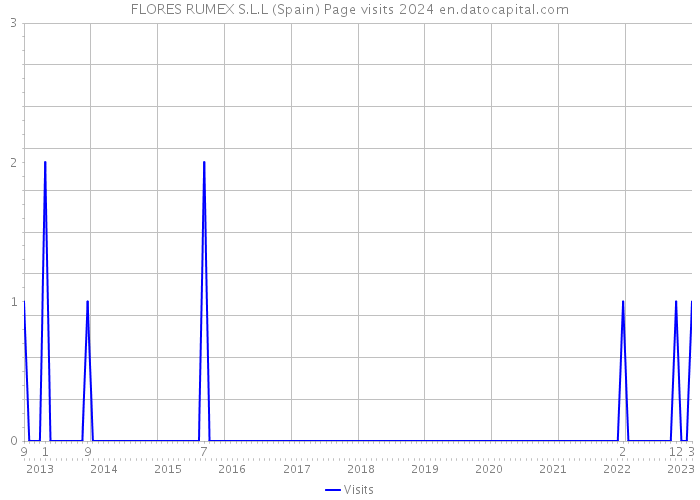 FLORES RUMEX S.L.L (Spain) Page visits 2024 