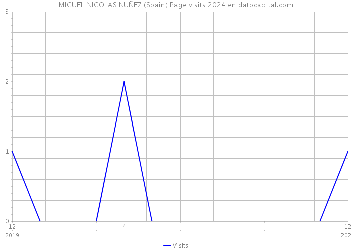 MIGUEL NICOLAS NUÑEZ (Spain) Page visits 2024 