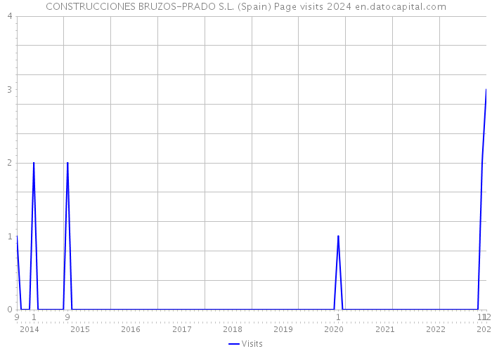 CONSTRUCCIONES BRUZOS-PRADO S.L. (Spain) Page visits 2024 