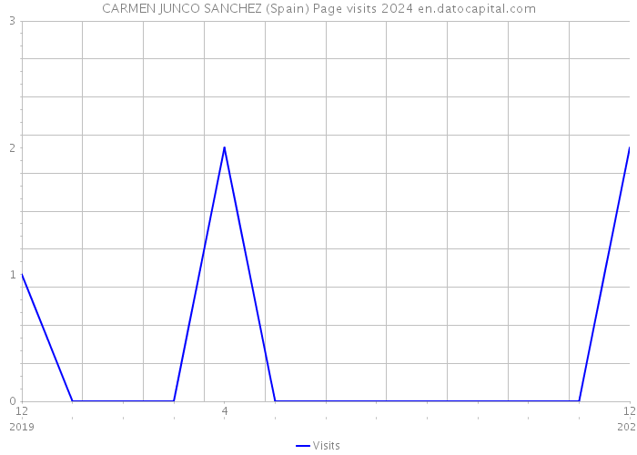 CARMEN JUNCO SANCHEZ (Spain) Page visits 2024 