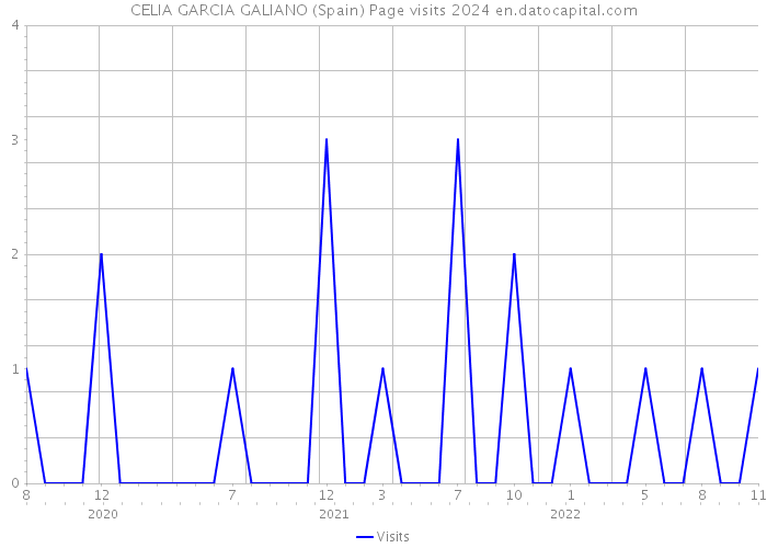 CELIA GARCIA GALIANO (Spain) Page visits 2024 
