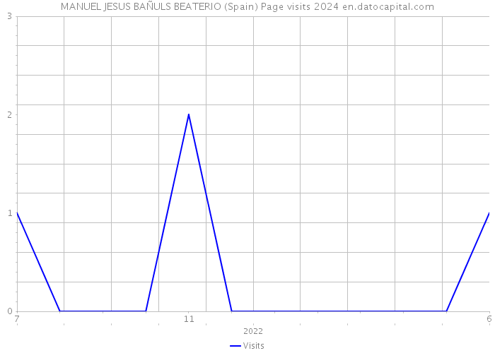 MANUEL JESUS BAÑULS BEATERIO (Spain) Page visits 2024 