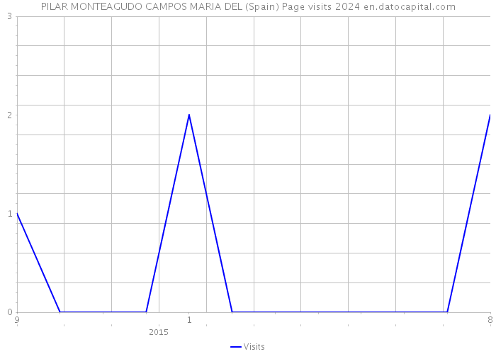 PILAR MONTEAGUDO CAMPOS MARIA DEL (Spain) Page visits 2024 