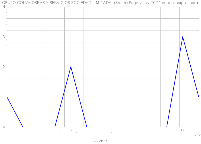 GRUPO COLVA OBRAS Y SERVICIOS SOCIEDAD LIMITADA. (Spain) Page visits 2024 