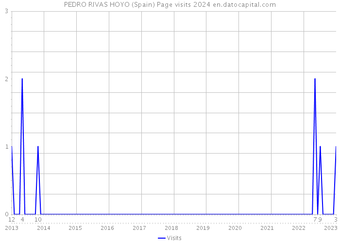 PEDRO RIVAS HOYO (Spain) Page visits 2024 