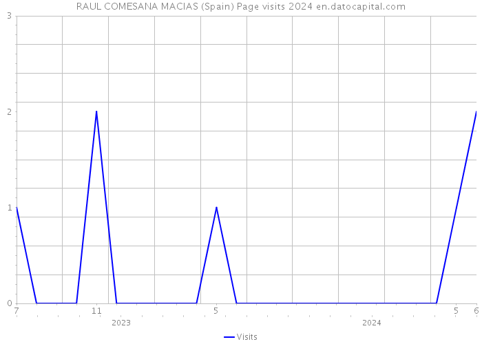 RAUL COMESANA MACIAS (Spain) Page visits 2024 
