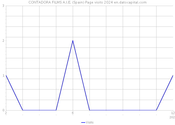 CONTADORA FILMS A.I.E. (Spain) Page visits 2024 