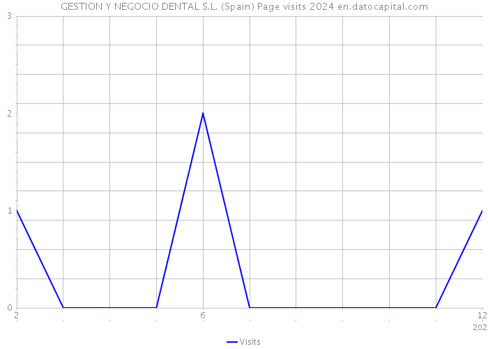 GESTION Y NEGOCIO DENTAL S.L. (Spain) Page visits 2024 