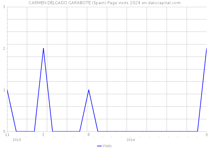 CARMEN DELGADO GARABOTE (Spain) Page visits 2024 