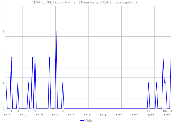 CESAR LOPEZ CEPRIA (Spain) Page visits 2024 