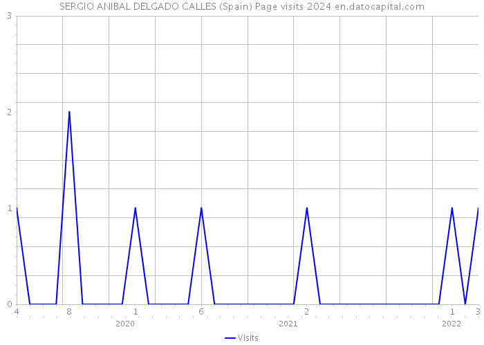 SERGIO ANIBAL DELGADO CALLES (Spain) Page visits 2024 