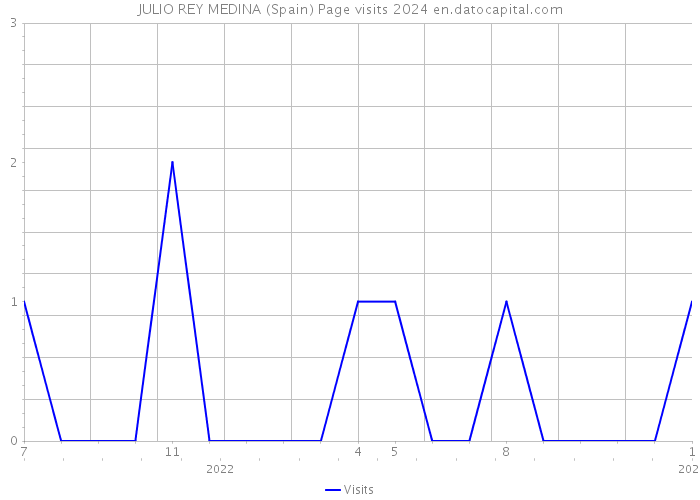 JULIO REY MEDINA (Spain) Page visits 2024 