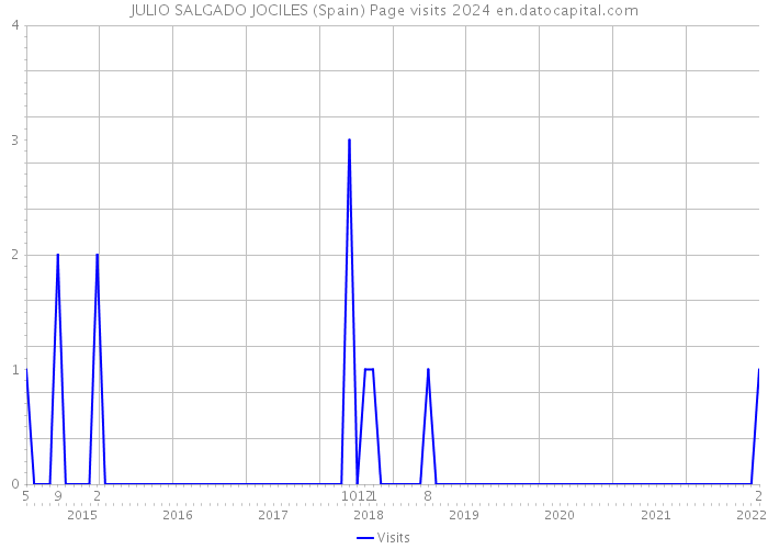 JULIO SALGADO JOCILES (Spain) Page visits 2024 