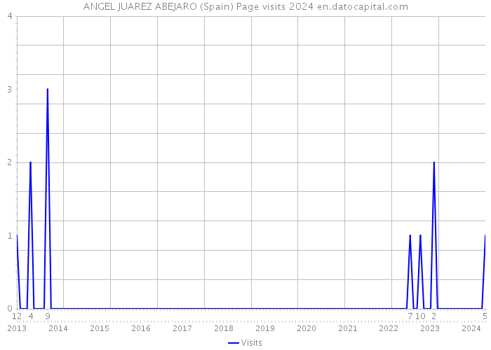 ANGEL JUAREZ ABEJARO (Spain) Page visits 2024 