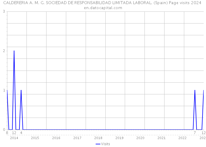 CALDERERIA A. M. G. SOCIEDAD DE RESPONSABILIDAD LIMITADA LABORAL. (Spain) Page visits 2024 