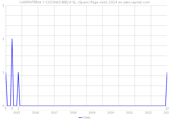 CARPINTERIA Y COCINAS BIELVI SL. (Spain) Page visits 2024 