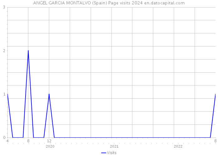 ANGEL GARCIA MONTALVO (Spain) Page visits 2024 