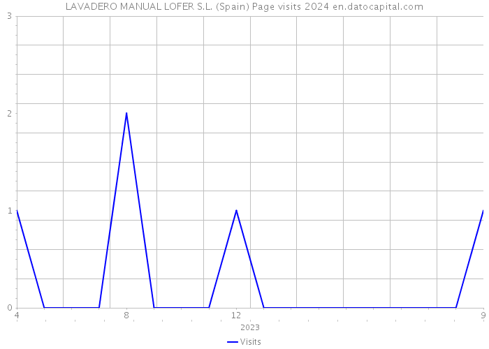 LAVADERO MANUAL LOFER S.L. (Spain) Page visits 2024 