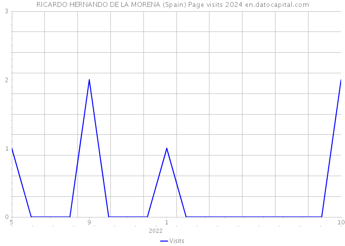RICARDO HERNANDO DE LA MORENA (Spain) Page visits 2024 