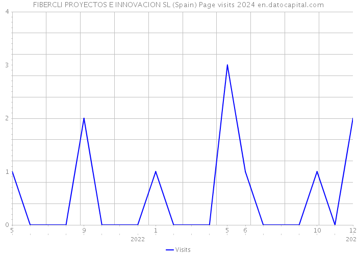 FIBERCLI PROYECTOS E INNOVACION SL (Spain) Page visits 2024 